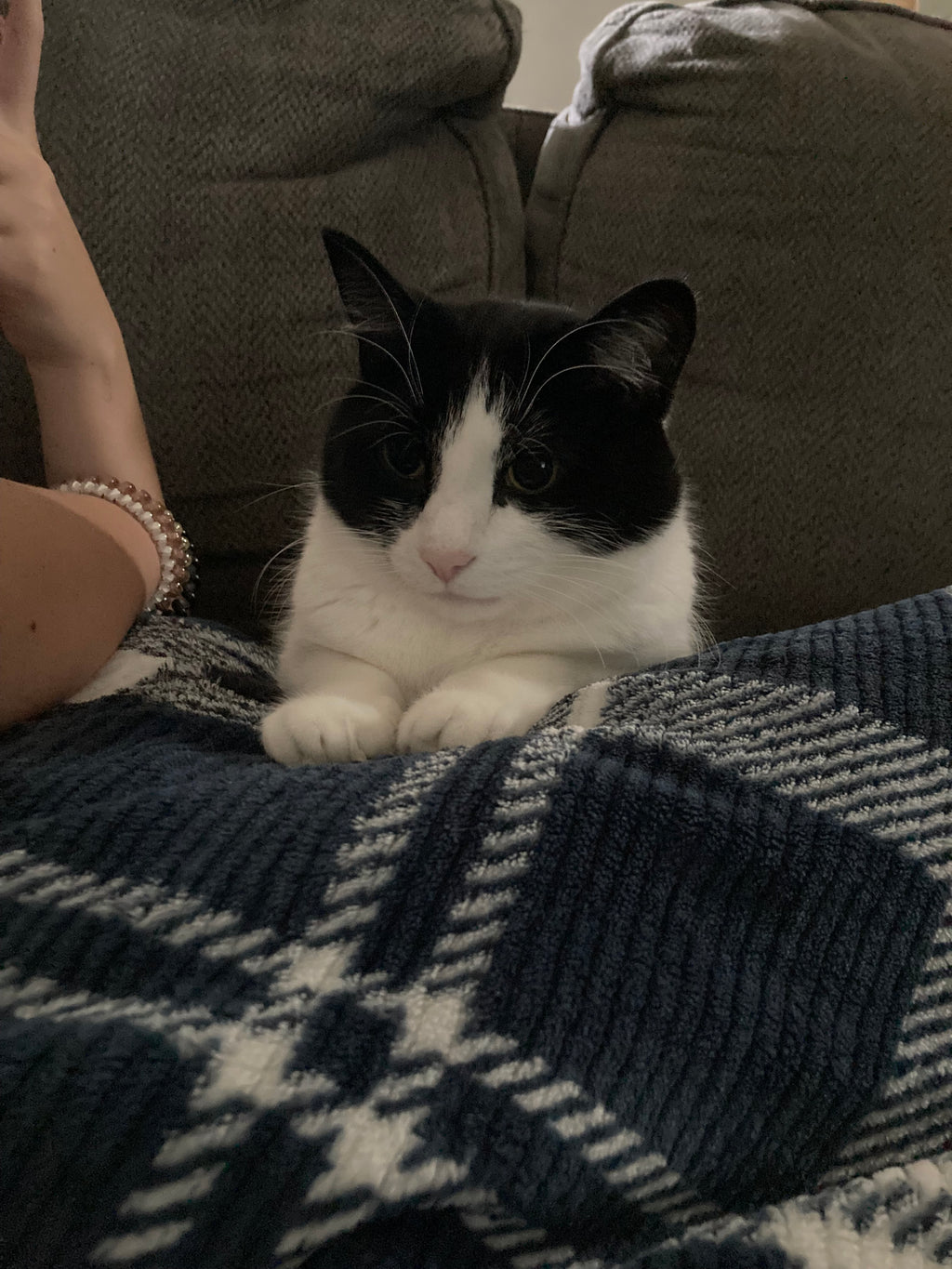 Mushroom lip balm holders